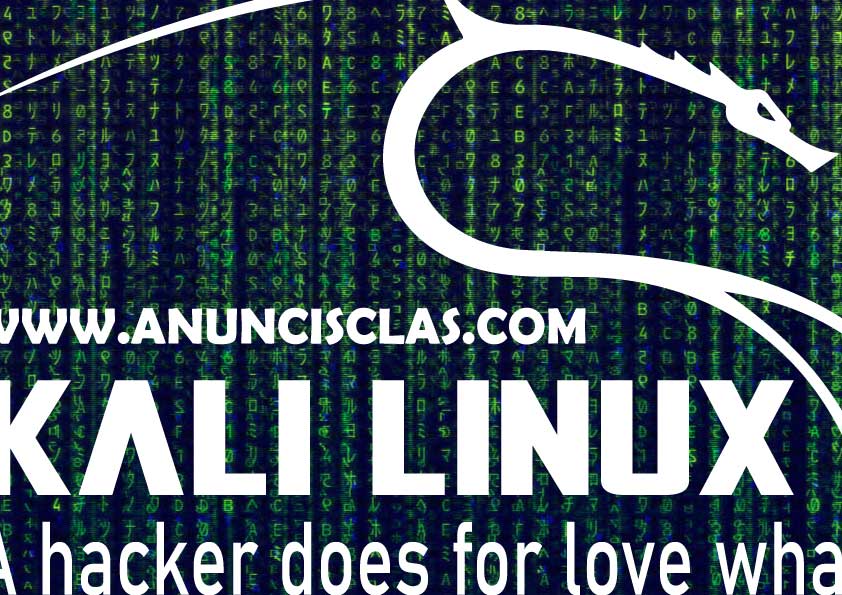 En Anuncisclas.com, expertos en diseño web y marketing digital en Lleida, sabemos que proteger tu negocio es tan importante como hacerlo crecer. Por eso, hoy te compartimos 10 consejos básicos de ciberseguridad que deberías aplicar desde ya.
